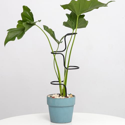 3PCS Indoor Plant Support Stakes - Sturdy Metal Trellis for Garden Flowers & Monstera, Durable & Easy to Use, Perfect for Small to Medium Indoor Plants, Ideal Gift for Plant Lovers! - color: Black