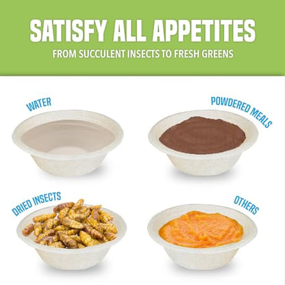 Pet Food and Water Cups, No More Soaking Dishes, Fits on Slim Ledges, No Food Leftover, No Plastic Leftover, Add to Compost or Isopod Tub, Suitable for Gecko Tanks (2 oz, 100 Pack)