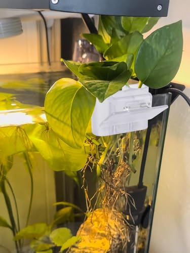 3 Holes Upgraded Aquatic Plant Cup Aquarium Plant Holder for Tank, Hanging Aquarium Plant Holder, Aquarium Aquatic Plant Cultivation, Aquarium Plant Decoration - 2 Pcs White
