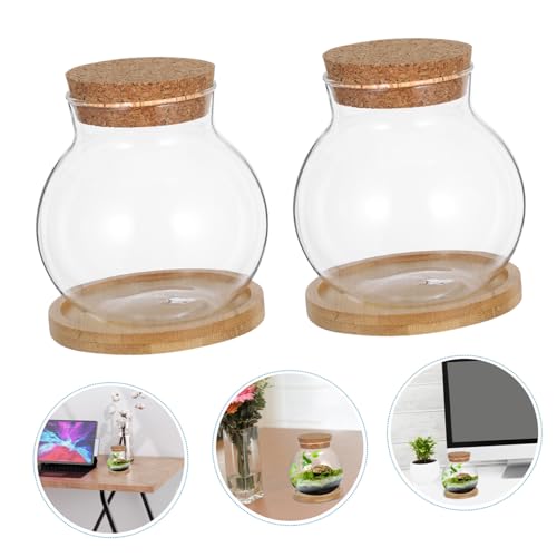 MAGICLULU 2Set Hydroponic Plant Vases Small Glass Betta Tanks with Lid and Mat for Desktop Decoration for Plant Lovers and Home Office Decor