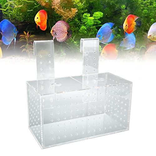 Fish Breeding Isolation Box, Acrylic Aquarium Hatchery 17x9x10cm, Transparent with Hook Installation - Easy Observation, Secure Lid Design, Suitable for Small Fish Tank (23 * 11 * 12CM) - size: 23*11*12CM