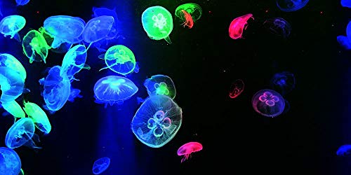 Jellyfish Aquarium Background Poster PVC Fish Tank Decorations Landscape (72" x 30"/ 183 x 76cm) - size: 72" x 30"/ 183 x 76cm