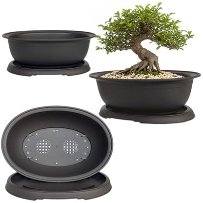 3 Pack Mixed Size Oval Bonsai Planter Pot with Drainage Tray, Matte Finish Ellipse Plastic Bonsai Succulent Growing Pot for Home Garden Plant Container 9.1” 7.2” 5.2” - size: 5.2" / 7.2" / 9.1" Mixed