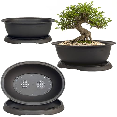 3 Pack Mixed Size Oval Bonsai Planter Pot with Drainage Tray, Matte Finish Ellipse Plastic Bonsai Succulent Growing Pot for Home Garden Plant Container 9.1” 7.2” 5.2” - size: 5.2" / 7.2" / 9.1" Mixed