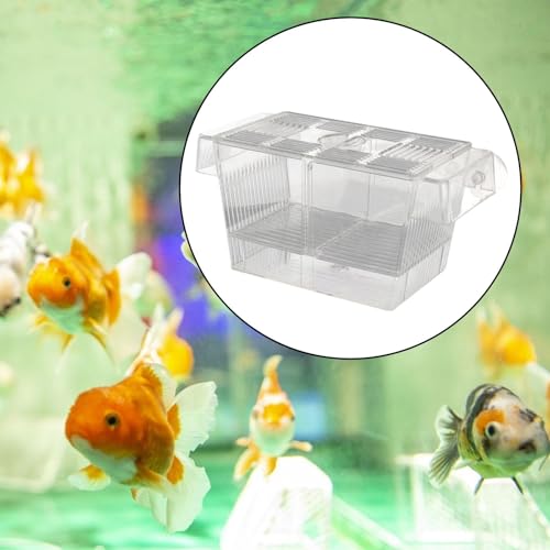 predolo Aquarium Hatching Box for Fish Breeding with Suction Cups for Betta Guppy, L - size: L