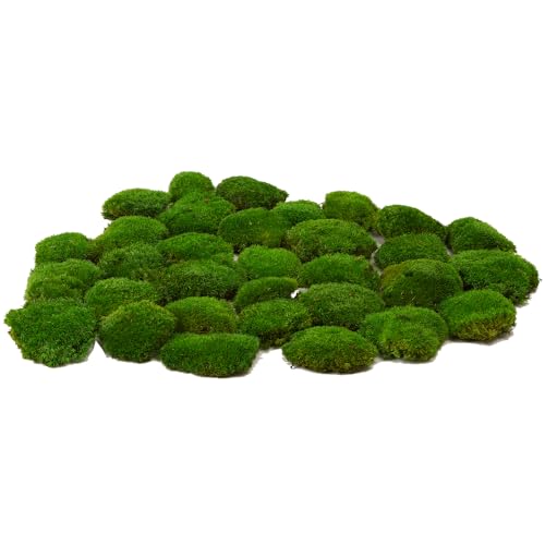Preserved Pole Moss Pillow Bun Cushion Natural Green Decorative Real Natural DIY Kit Gardenning Art Wall Decor Florist Easter Table Decor Wedding(1.5 sq.ft, Green-C) - color: Green-c, size: 1.5 sq.ft.