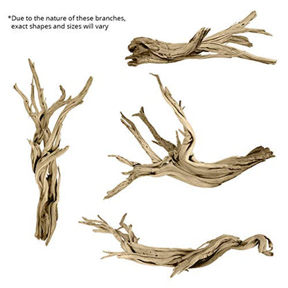 Koyal Wholesale 12” Driftwood Terrarium Decor, Clean California Manzanita Drift Wood Reptile Decor, Driftwood Decor for Home, Desert Reptile Supplies