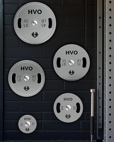 HVO Chrome Olympic Weight Plates with Grip, 2-Inch Standard Plates | Easy Grip Design Secure 2-Inch Fit Durable Construction Balanced Weight Distribution Strength Training Equipment - size: 160LB Set: 1 Pair of each: 10/25/45LB