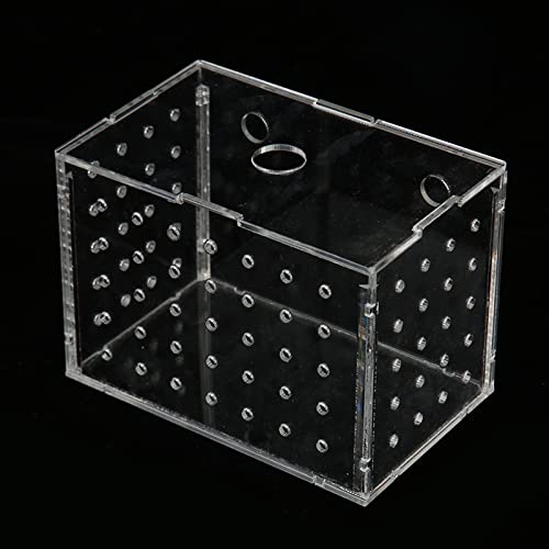 Fish Breeder Box, Aquarium Fish Breeding Box, High Transparency Acrylic Hatchery Incubator Tank with Suction Cups for Baby Fish Shrimp Clownfish Isolation and Rearing (9 * 6 * 7CM)