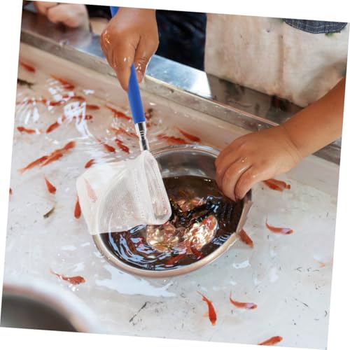 Cabilock 2pcs Mini Extendable Shrimp Net and Fish Tank Cleaning Net with Fine Mesh Stainless Steel for Aquarium Maintenance and Betta Fish Catching