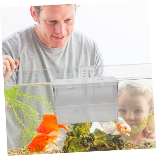 BESPORTBLE Fish Breeding Box Cups Divider for Aquarium Fish Isolation for Acclimation and Incubation
