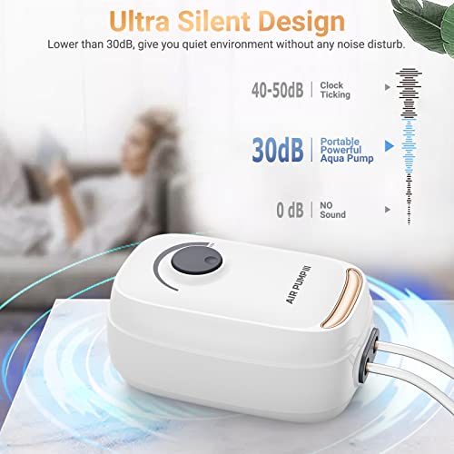 3W/6W Aquarium Air Pump, Adjustable Aquarium Aerator with 2-Outlet, Super-Powerful & Quiet Oxygen Pump for Fish Tanks up to 100/200 Gallon with Full Accessories.(Upgrade Noise-Reduce) - style: 3W/AR-10 NEW