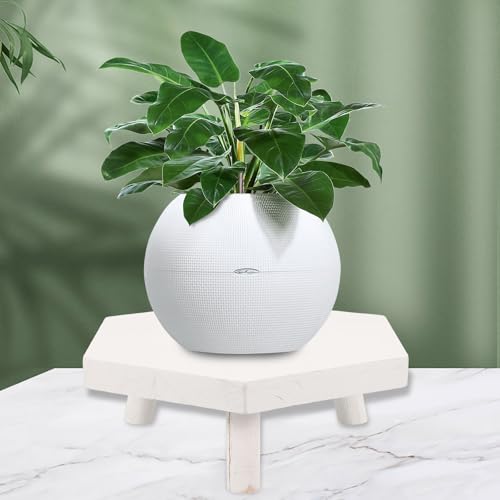 LIOOBO Wooden Plant Display Rack Sturdy Potted Planter Stand Natural Wood Flowerpot Stool for Indoor Outdoor Bonsai Showcase and Small Fish Tank Holder
