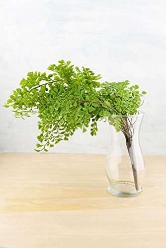 Richland Fern Bush 18" Artificial Maidenhair Set of 12 - color: Green, size: 18'' (Set 12)