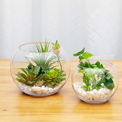 WGV Bowl Glass Vase Bulk, Diameter 8", Height 6", Open Width 5", (Multiple Sizes Choices) Clear Bubble Planter Terrarium Fish Bowl for Wedding Event Home Decor, 6 Pieces (VBW0008A) - size: 8"D 1 Case