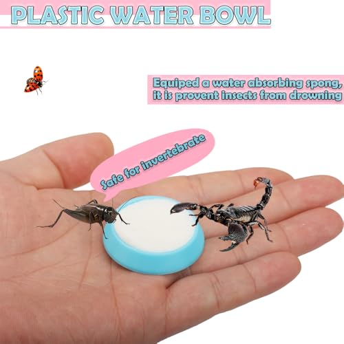 6 Pcs Cricket Water Bowl Plastic Feeding Dish with 6 Pcs Sponge for Hermit Crab Cricket Scorpion Ant Isopod Invertebrate (Blue)