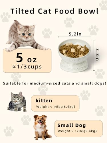 Ceramic Cat Food Bowl, 15°Tilted Raised Cat Food Bowl 5oz (Vintage White)