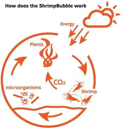 Self-Sustaining Ecosystem - Natural. Contains Live Opae Ula Shrimp
