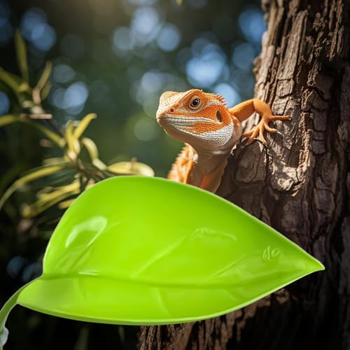 Turtle Basking Area - Reptile Climbing Ramp, Amphibian Tank | Suction Cup Leaf Shape Resting Spot, Semi-Aquatic Creature Habitat Deck, Floating Terrace Pad for Backyard Pond Frogs - color: Light green