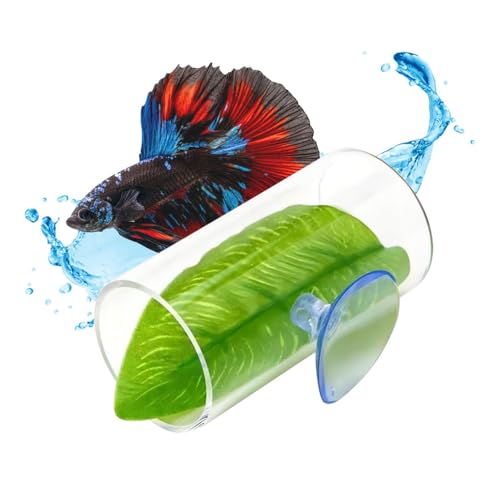 MiOYOOW Betta Shelter Hideaway, Acrylic Fish Shrimp Habitat Fish Tube Tunnel with Suction Pads Mounting for Small Fish Shrimp - color: Transparent