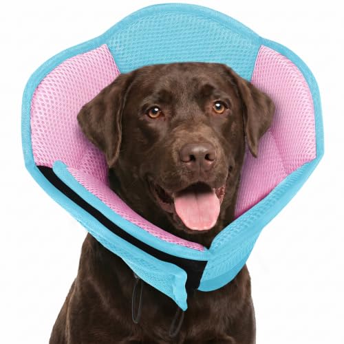 AOFITEE Large Dog Cone Adjustable Dog Cone to Stop Licking, BluePink XL - color: BluePink, size: X-Large