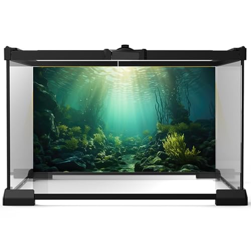 Ocean Aquarium Background Underwater Kelp Forests Fish Tank Background Under The Sea Aquatic Plants Sunrays Reptile Fish Tank Backgrounds Ocean Bed Rock Seagrass Aquarium Backgrounds 24x16in - color: Peak Green, size: 24(W)x16(H)inches/ 60(W)*40cm(H)