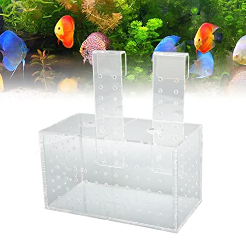 Fish Breeding Isolation Box, Acrylic Aquarium Hatchery 17x9x10cm, Transparent with Hook Installation - Easy Observation, Secure Lid Design, Suitable for Small Fish Tank (17 * 9 * 10CM) - size: 17*9*10CM