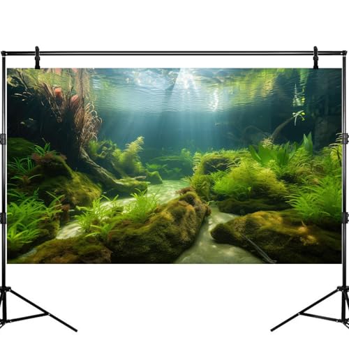 Undewater Floor Aquarium Background Ocean Seabed Rock Stone Cave Fish Tank Background Deep Sea Green Aquatic Plants with Sunbeams Terrarium Reptile Tank Enclosure Backgrounds Wallpaper 60x24in - size: 60(W)x24(H)inches/ 150(W)*60cm(H)