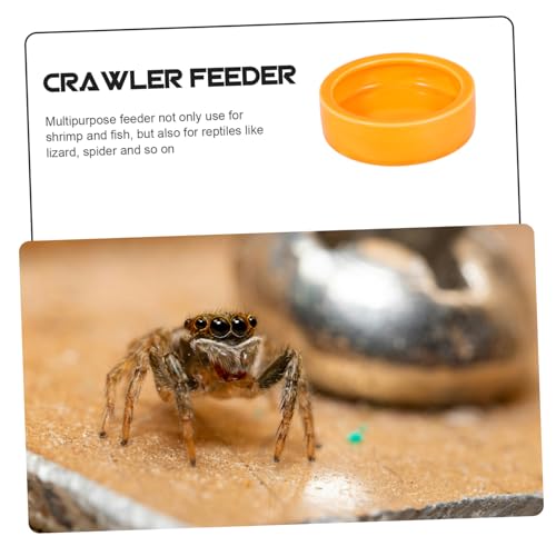 Kisangel Crawler Crawling Pet Escape Food Bowl Orange Feeder Dish for Shrimp Fish and Reptiles Smooth for Aquatic and Terrarium Use