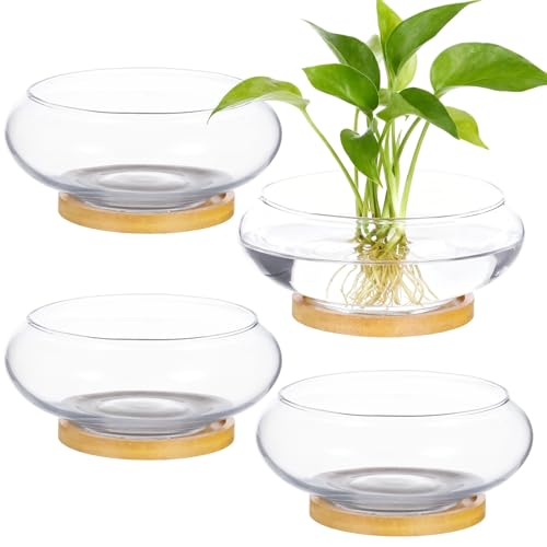 4PCS Lotus Bowl Planter with Wood Tray, 6 Inch Round Glass Vase for Hydroponics, Glass Fish Bowl, Bowl Planter for Plants Indoor Windowsill, Home Decor (4PCS)