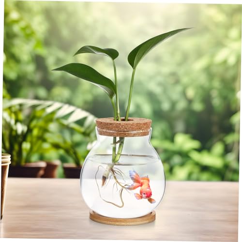 Desktop Hydroponic Fish Bowl Glass Aquarium with Mat for Betta and Aquatic Plants Stylish Terrarium for Decor