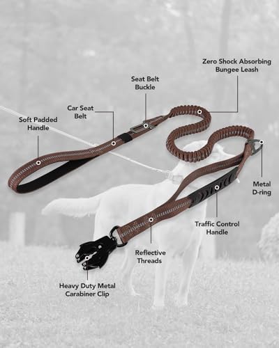 Joytale Tactical Bungee Dog Leash, Shock Absorbing No Pull, Brown - color: Brown