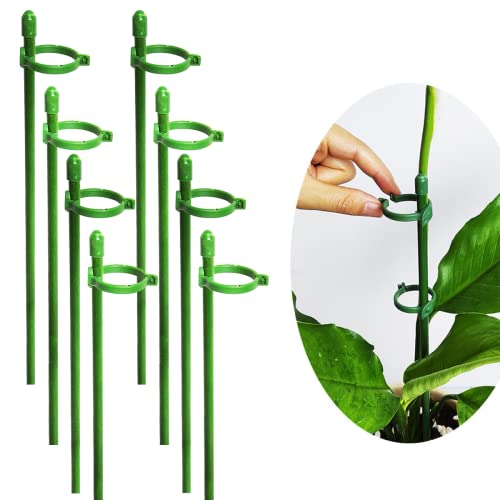 Belit 8 Pack Small Plant Support Plant Stakes, Adjustable Garden Single Stem Support Stake, Planter Support Ring for Orchid, Rose, Peony, Peppers and More, 16 inch - size: 15.7 Inch