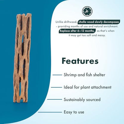 Natural Cholla Wood - Driftwood for Aquariums, Air Plant Base, Hermit Crab and Freshwater Shrimp Hideout, Fish Tank Decoration, Chinchilla Chews, Reptile Habitat Wood - 6 Inch, 5pc - size: 6 Inch, 5pc