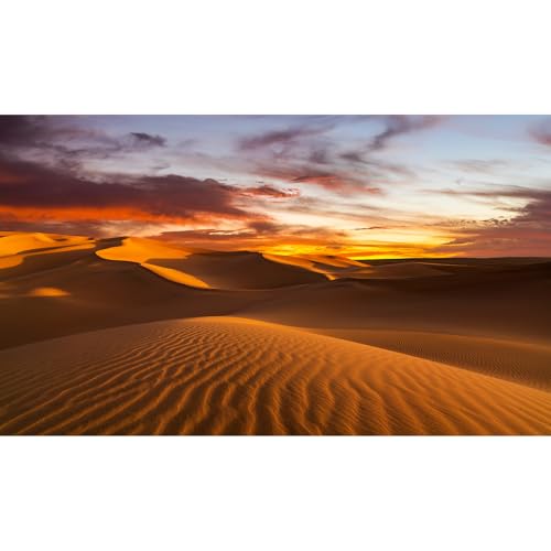 Sunset Desert Reptile Habitat Background Arid Landscape of The Sahara Desert Terrarium Background Sunset Over The Sand Dunes Aquarium Background Sunset Desert Tank Decor 24x12in