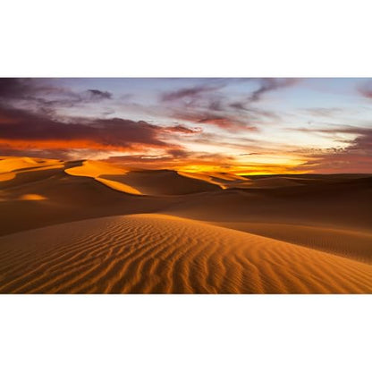 Sunset Desert Reptile Habitat Background Arid Landscape of The Sahara Desert Terrarium Background Sunset Over The Sand Dunes Aquarium Background Sunset Desert Tank Decor 24x12in