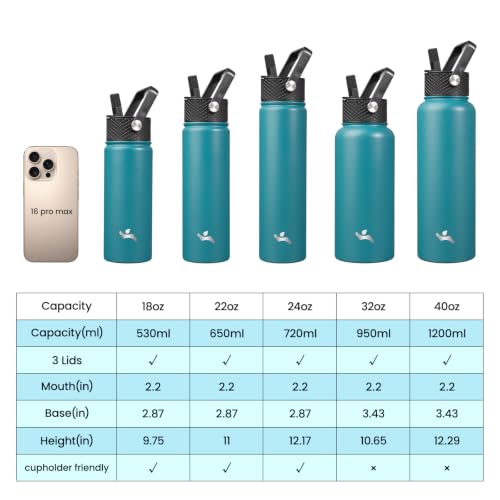 Konokyo 24 oz Insulated Stainless Steel Water Bottle with Straw Lid - color: Light Blue, size: 24 Ounces