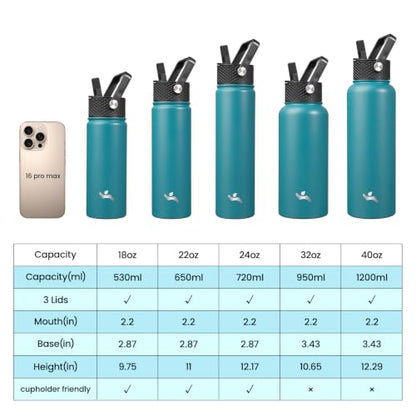 Konokyo 24 oz Insulated Stainless Steel Water Bottle with Straw Lid - color: Light Blue, size: 24 Ounces