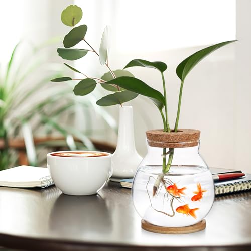 Toddmomy Desktop Hydroponic Glass Fish Bowl Mat Small Betta Tank for Aquatic Plants Terrarium for Home Office Lid