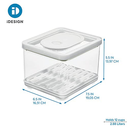 iDesign iD Fresh Food Storage, Small Bin - size: Square- Small, style: Pack of 1