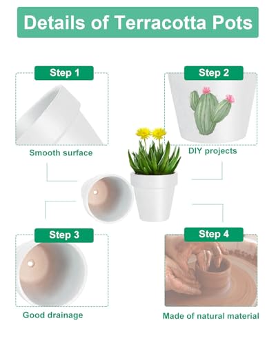 3 Inch White Terra Cotta & Terracotta Pots with Drainage - 20 Pack Clay Flowerpots, Succulent Nursery Planter Great for Plants, Crafts, Wedding Favor - color: White