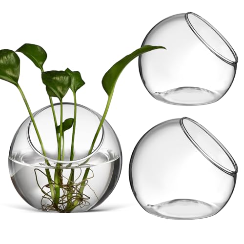ibasenice 3Pcs Glass Terrarium Bowls Air Plant Holders Hydroponic Planters Small Round Vases for Home Office Desktop Display