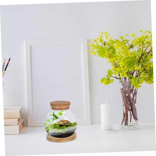 BESTYASH 2Set Hydroponic Glass Vases with Mat Desktop Plant Propagation Station for Fish Tank Plants Stylish Tabletop Fish Bowls for Home Office Decor and Plant Lovers