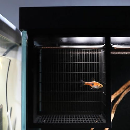 Protective Fry Nursery Habitat Box Offering Safe Growth Predation with Ventilation Construction Aquariums Breeding Box