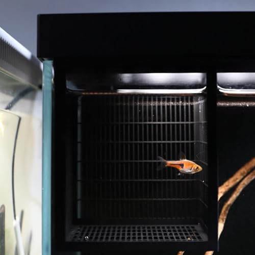 Breathable Fishing Nursery Box Protecting Newborns Fry Aquariums Simple Setups Process for Healts Development Easy to Mount Fish Isolation Tanks - color: White