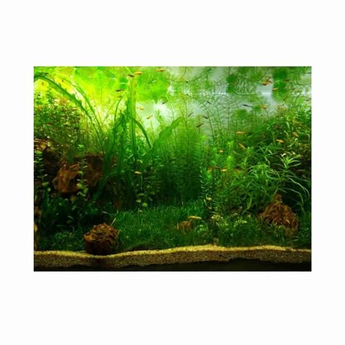 24 Inch Green Water Grass Aquarium Background Self-Adhesive PVC Fish Tank Decor Waterproof Non-Fade Scenery for Freshwater Aquatic Habitat