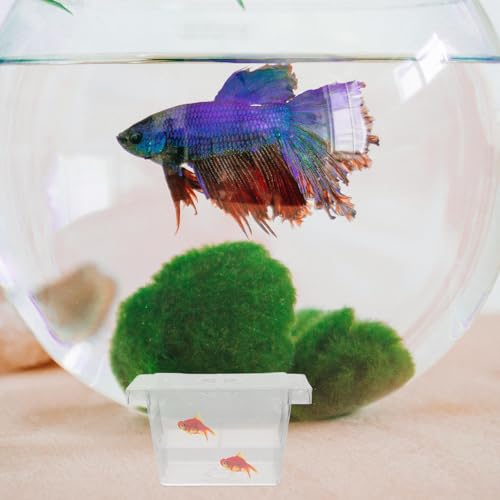 Fish Breeding Box with Divider and Suction Cups Double-Layer Plastic Incubator Tank for Aquarium Betta Fish Nursery and Hatchery Acclimation and Isolation