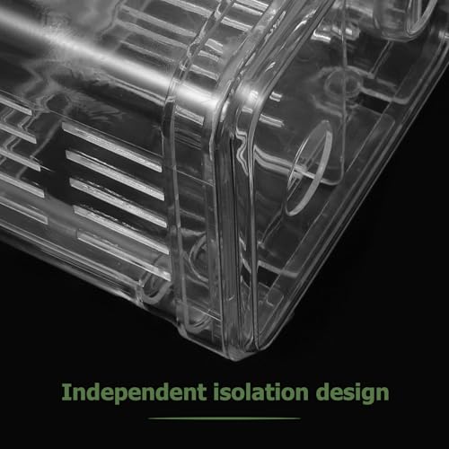 BESPORTBLE 2pcs Acrylic Fish Breeding Box Isolation Box Fish Separator for Aquarium Hatchery Incubator with Suction Cup for Shrimp Clownfish Guppy