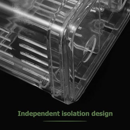BESPORTBLE 2pcs Acrylic Fish Breeding Box Isolation Box Fish Separator for Aquarium Hatchery Incubator with Suction Cup for Shrimp Clownfish Guppy