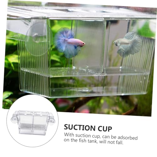BESPORTBLE Transparent Fish Breeding Box Dual Layer Incubation Container for Fry Durable Aquarium Isolation Box with Suction Cup Design for Young Fish Care Large
